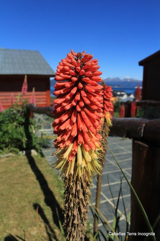 Willa Terra Incognita Ushuaia Zewnętrze zdjęcie