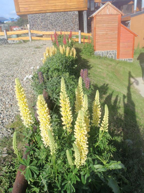 Willa Terra Incognita Ushuaia Pokój zdjęcie